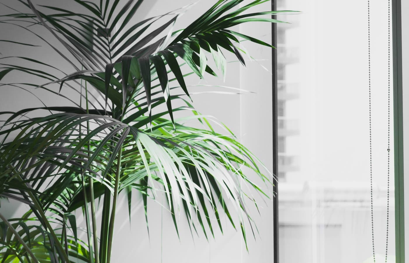 How Furniture Liquidation Supports ESG Targets